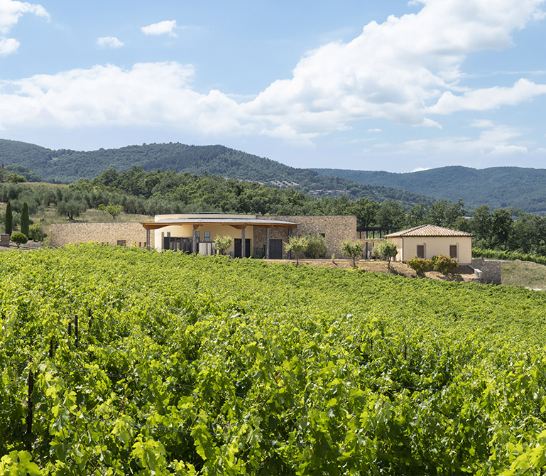 Tenuta Le Forconate